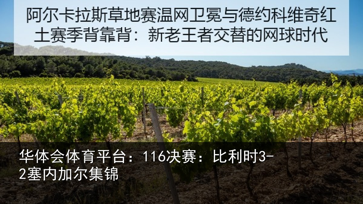 华体会体育平台：116决赛：比利时3-2塞内加尔集锦
