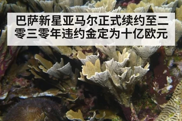 巴萨新星亚马尔正式续约至二零三零年违约金定为十亿欧元